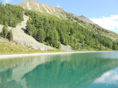 ナウダースにあるApart Alpenjuwelの湖水反射山