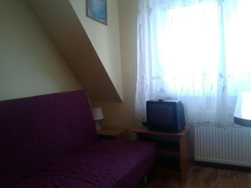 Μια τηλεόραση ή/και κέντρο ψυχαγωγίας στο Apartamenty, Pokoje, Noclegi, " Skarpa" Wilkasy