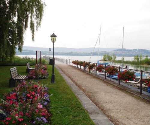 a row of benches with flowers next to the water at Studios Faoug in Faoug