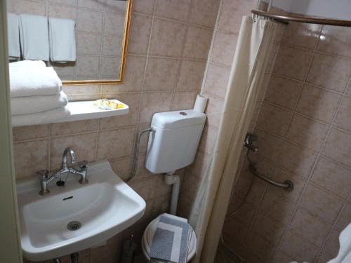 a bathroom with a toilet and a sink and a shower at Acropolis House in Athens
