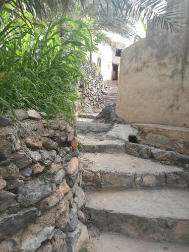 a stone stairway with a stone wall and plants at Misfah Old House in Misfāh