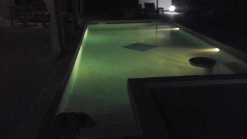 a dog sitting in a swimming pool at night at Chambre d'hôte les vacanciers in Nianing