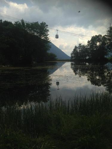 a cow standing in the middle of a lake at Hotel Etoile De Neige in Valtournenche