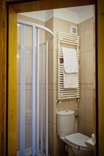 a bathroom with a toilet and a towel rack at Casa Wagner in Braşov