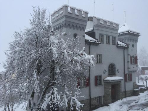 a snow covered tree in front of a building at Disentis in Disentis