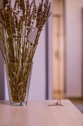 a vase filled with dried flowers sitting on a table at Balokány apartman in Pécs