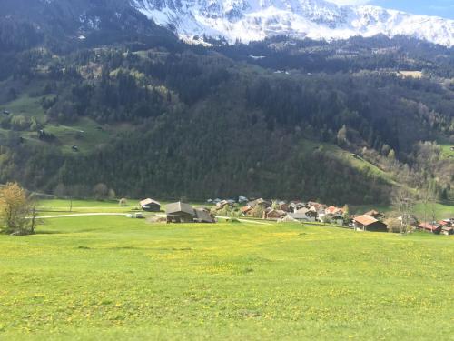 a green field with houses and mountains in the background at Disentis in Disentis