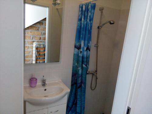 La salle de bains est pourvue d'un lavabo et d'une douche avec un miroir. dans l'établissement Mejak & Bordon, à Sečovlje