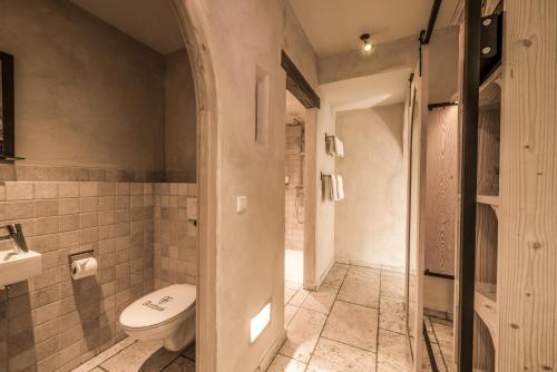 a bathroom with a toilet and a shower at Hotel Arthus in Aulendorf