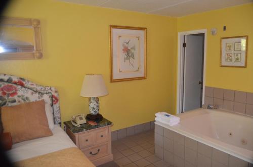 a bedroom with a bed and a bath tub at River Lodge South in Pigeon Forge
