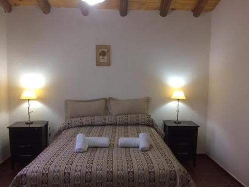 a bedroom with a large bed with two lamps at Terrazas En El Bosque Cabañas in Malargüe