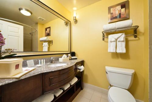 a bathroom with a sink and a toilet and a mirror at Comfort Suites Bay City in Bay City