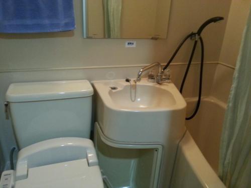 a bathroom with a toilet and a sink at Hotel Hashimoto in Sapporo