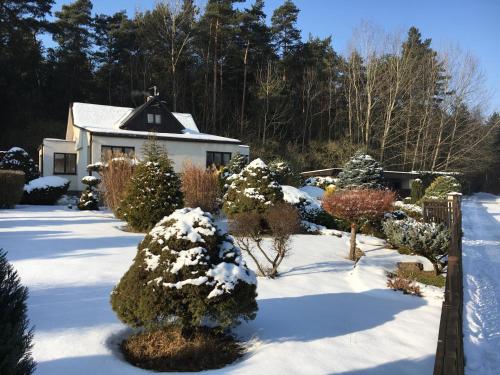 a house covered in snow with christmas trees at Vila Verunka in Plzeň