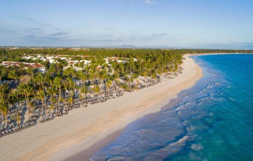 an aerial view of a beach with palm trees and the ocean at Occidental Punta Cana - All Inclusive in Punta Cana