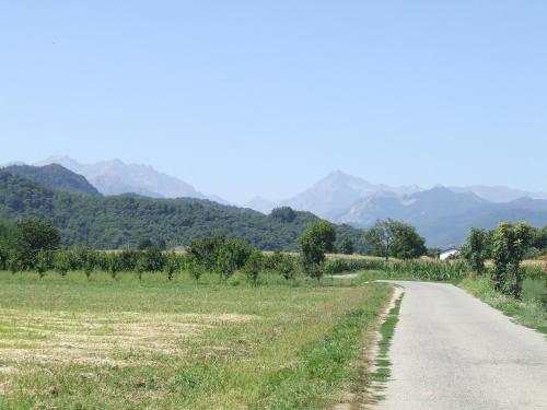 a dirt road in a field with mountains in the background at La Meridiana, monolocale in cascina ristrutturata in Boves