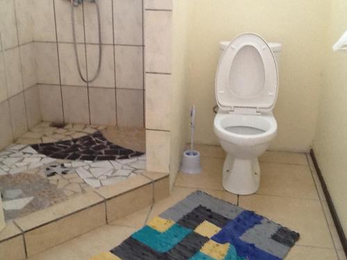 y baño con ducha, aseo y alfombra. en Pension Turiroa " Chez Olga" en Avatoru