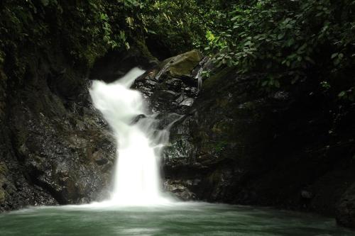 a waterfall in the middle of a river at Santa Juana Lodge & Nature Reserve in Quepos
