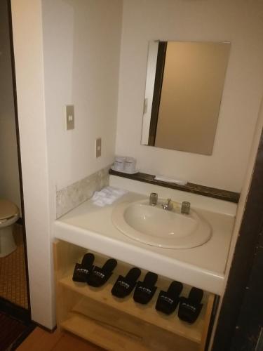 a bathroom with a sink and a mirror at Royal Hotel Kawaguchiko in Fujikawaguchiko