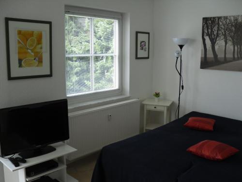 Schlafzimmer mit einem Bett, einem TV und einem Fenster in der Unterkunft Apartment Sonnenschein in Braunlage