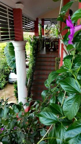 a staircase leading to a house with a purple flower at Lampang Lanna Home in Lampang