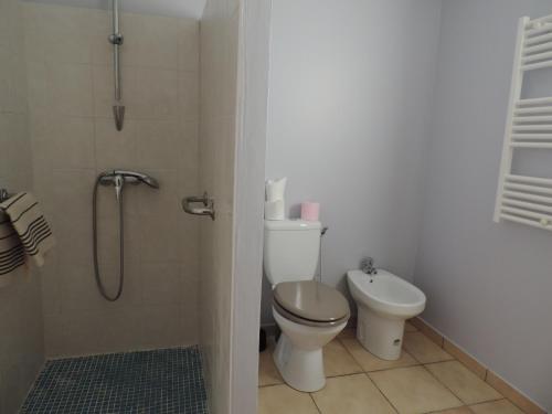 a white bathroom with a toilet and a shower at Gite au calme en Armagnac in Sion