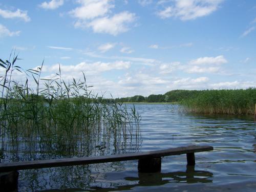 eine Bank, die mitten in einem See sitzt in der Unterkunft Uckermark Ferienhaus in Kuhz