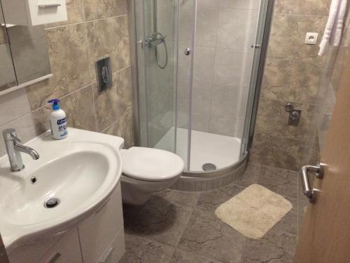 a bathroom with a shower and a toilet and a sink at Apartments Nevenka i Josko in Tučepi