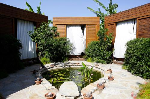 Gallery image of The LifeCo Bodrum Well-Being Detox Center and Vegan Hotel in Golturkbuku