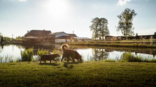 Tawerna Pod Kotwicą pokoje i domy wakacyjne