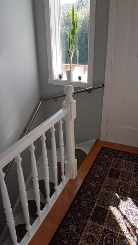 a white staircase with a potted plant in a window at The Viking Country Club in Hjalteyri