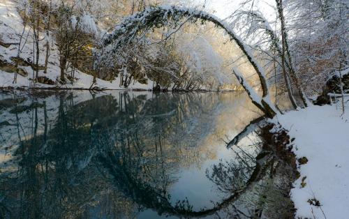 a reflection of a tree in a body of water at Apartment Kolaković in Slunj