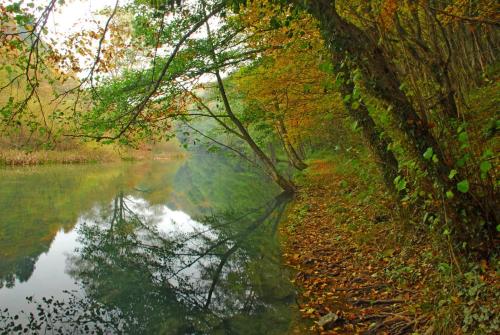 a body of water with trees next to a river at Apartment Kolaković in Slunj