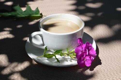 Принадлежности для чая и кофе в Agroturystyka u Barana