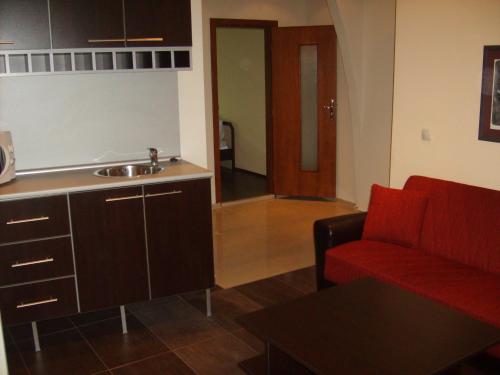 Η κουζίνα ή μικρή κουζίνα στο Hotel Trakart Residence