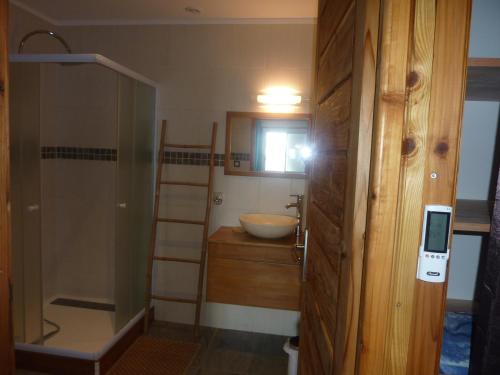 a bathroom with a sink and a glass shower at La Pointe au Corail in Sainte-Rose