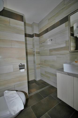 a bathroom with a toilet and a sink at G4 Apartment Milmari in Kopaonik