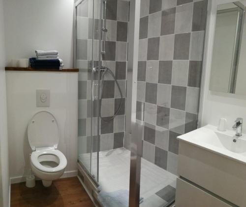 Un baño con ducha, inodoro y lavabo. en Auberge Roman, en La Javie