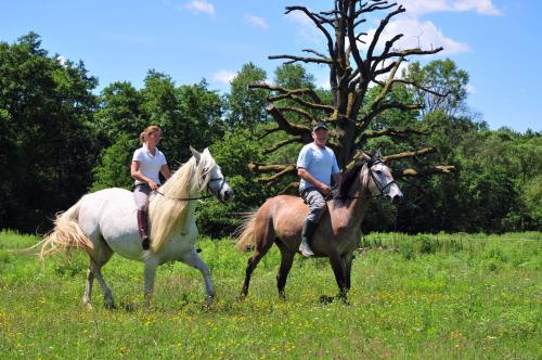 a man and a woman riding horses in a field at Kerca Bio Farm in Kercaszomor