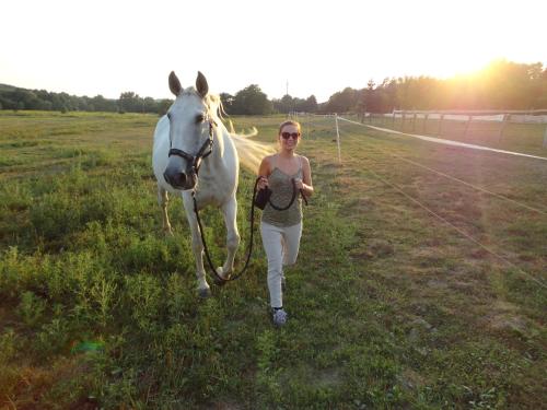 a woman walking a white horse in a field at Kerca Bio Farm in Kercaszomor