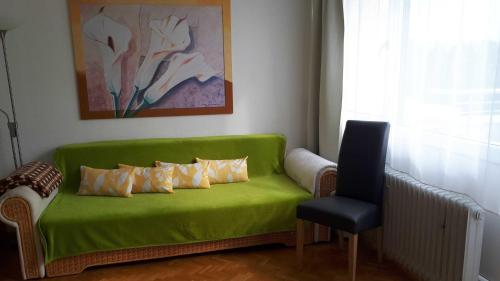 佛萊堡的住宿－Ferienwohnung Anne，一张绿色沙发,里面配有四个枕头