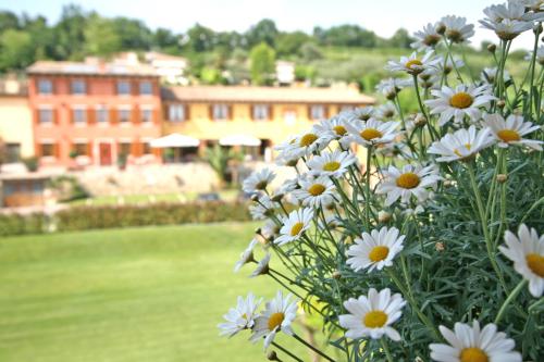 a bunch of white flowers in front of a building at La Zerla in Bardolino