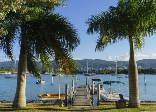 a marina with palm trees and a dock with boats at One Love Cozy Studio Seawind On The Bay in Montego Bay