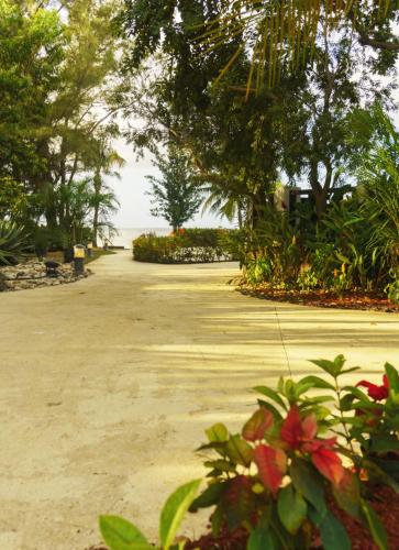 a driveway with trees and flowers on a beach at One Love Cozy Studio Seawind On The Bay in Montego Bay