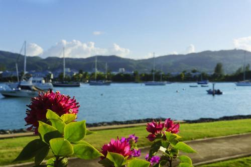 a view of a harbor with boats in the water at One Love Cozy Studio Seawind On The Bay in Montego Bay