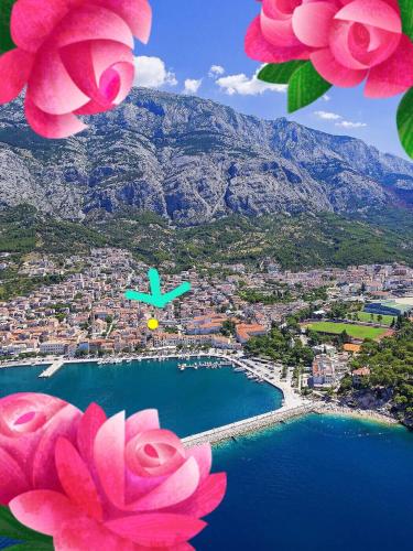 Gallery image of Luxury Apartments Marhella & Jakov in Makarska