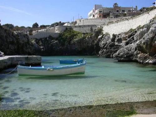Φωτογραφία από το άλμπουμ του La Casetta σε Poggiardo
