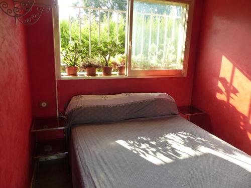 マンドリュー・ラ・ナプールにあるBord de mer avec vueのベッドと窓が備わる小さな客室です。