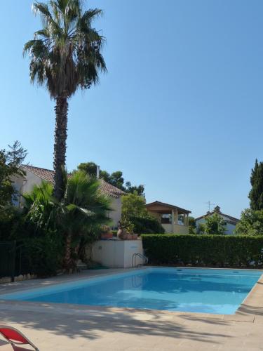 un palmier en face d'une maison avec piscine dans l'établissement Bord de mer avec vue, à Mandelieu-la-Napoule