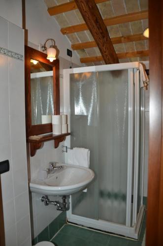 ein Bad mit einem Waschbecken und einer Dusche in der Unterkunft Agriturismo Terra di Zosagna in Breda di Piave
